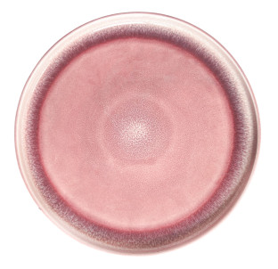 3024-1 Тарілка 10' роял бордо - фото