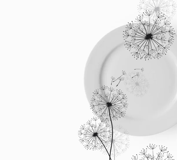 Склокераміка     - фото