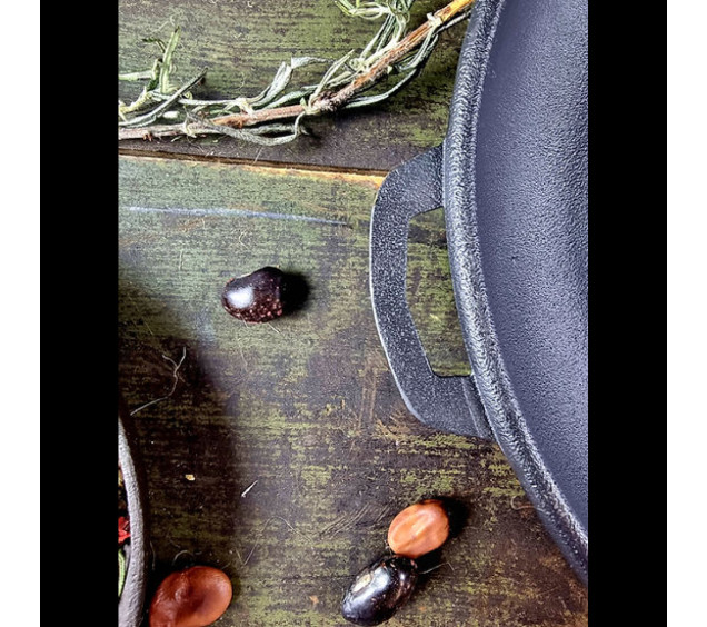 Т102 Жаровня чавунна 24*6см - фото 3