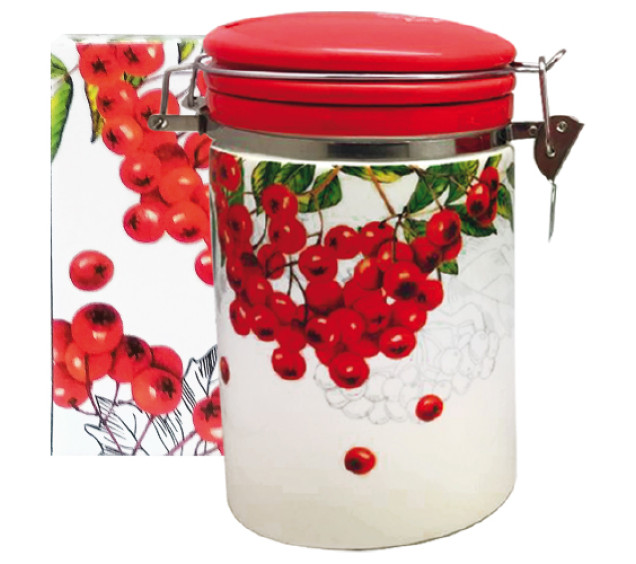 631-14 Ємність для сипучих продуктів 1,2 л. "Калина червона" (d-10см, h-16) - фото