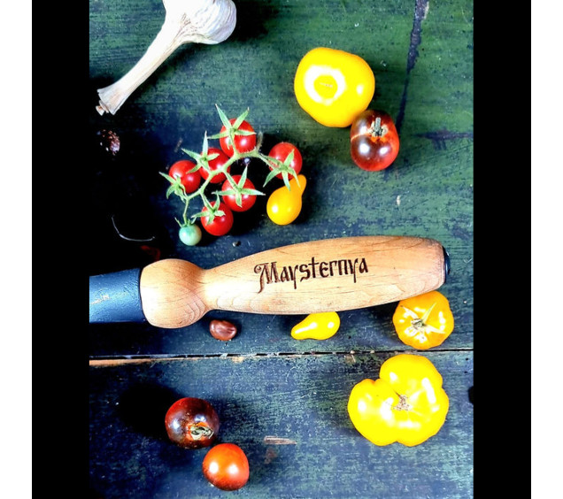 Т306С3 Сковорода чавунна 28*6см з дерев\'яною ручкою зі скляною кришкою - фото 1