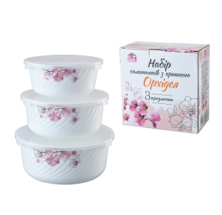 30053-15022 Набір салатників з кришкою 3 шт (7,5 ', 6,5', 5,5 ') "Орхідея" - фото