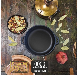 Т1011 Жаровня чавунна 20*4см - фото