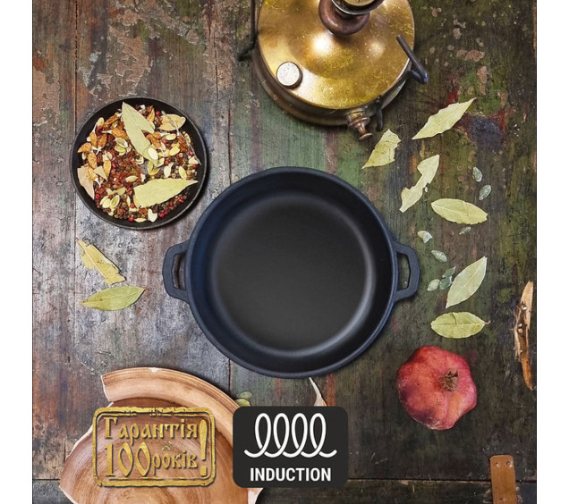 Т1011 Жаровня чавунна 20*4см - фото