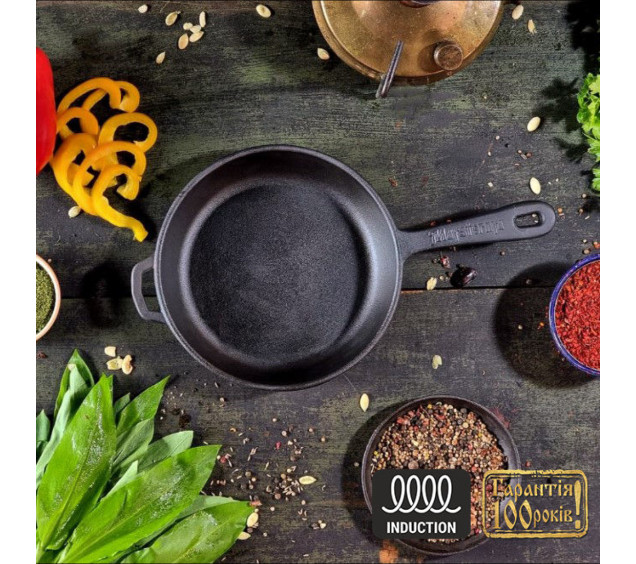 Т2011 Сковорода чавунна 20*4см - фото